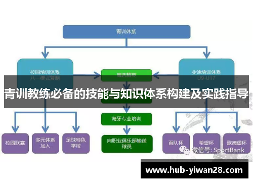青训教练必备的技能与知识体系构建及实践指导 青训教练必备的技能与知识体系构建及实践指导